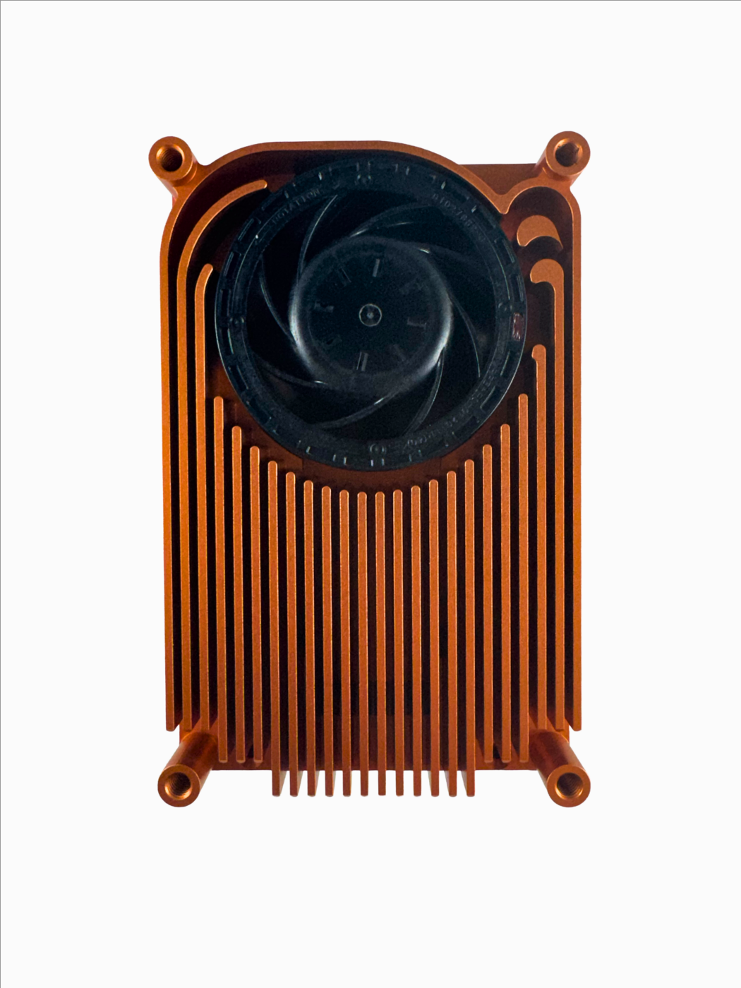 Raptor L FAN