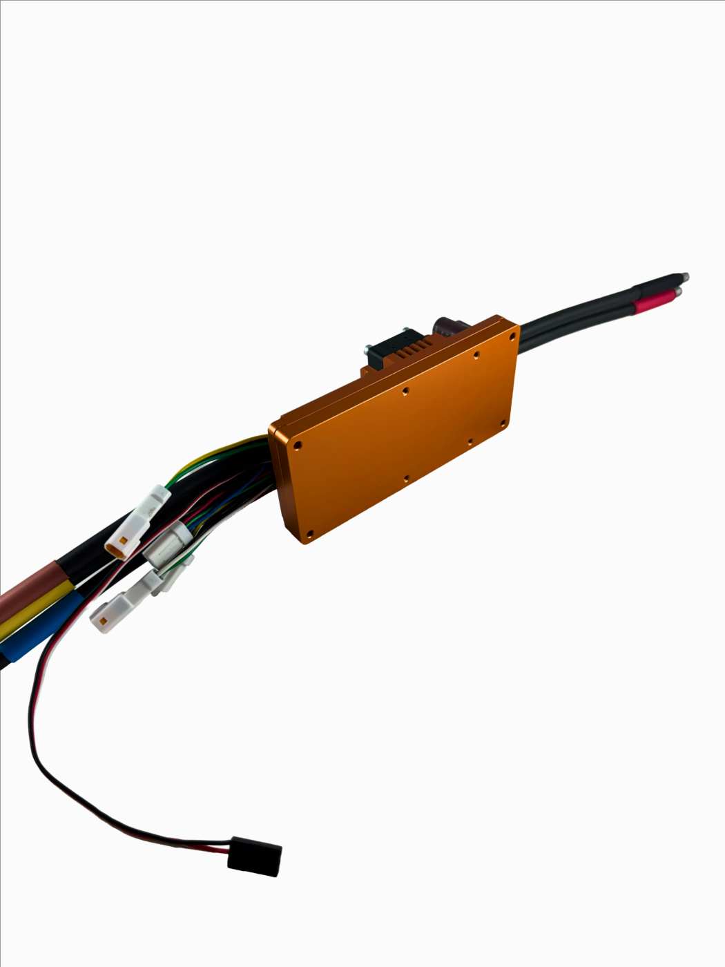 RAPTOR C FLAT