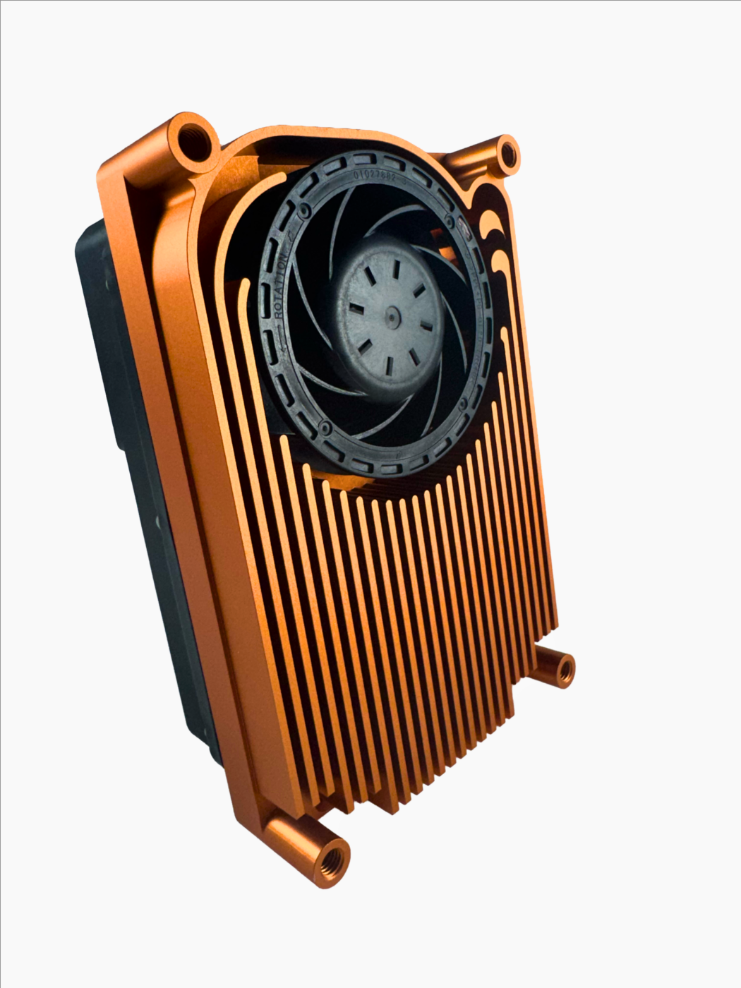 Raptor L FAN